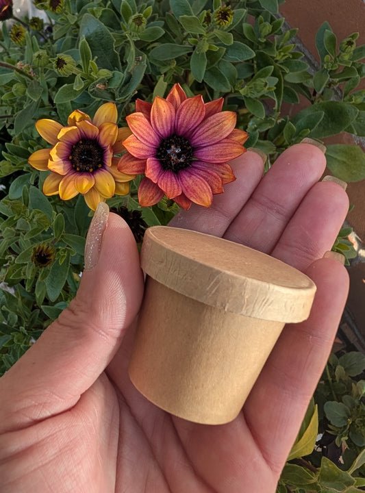 35g Soy Wax Shot Pots